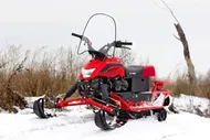 Снегоход Irbis Dingo T150, 150сс, 4 т, 2021, красный