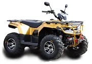 Квадроцикл IRBIS ATV 200 PREMIUM с ПСМ