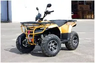 Квадроцикл IRBIS ATV 200 PREMIUM с ПСМ