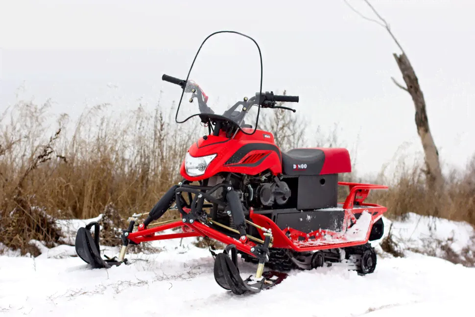 Снегоход Irbis Dingo T150, 150сс, 4 т, 2021, красный-0