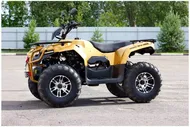 Квадроцикл IRBIS ATV 200 PREMIUM с ПСМ
