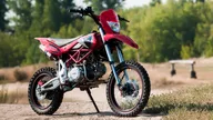 IRBIS TTR 250: КУПИТЕ С ДОСТАВКОЙ!